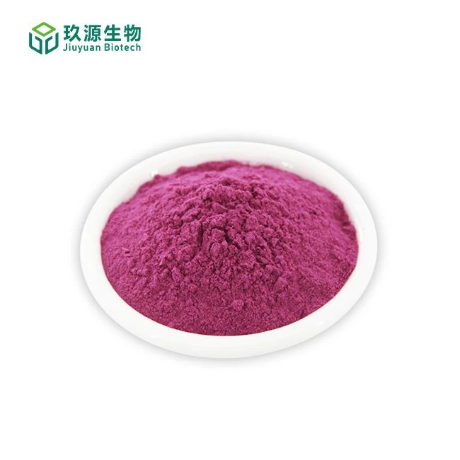 Organic Pitaya Powder suppliers
