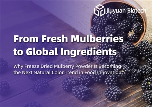 Od čerstvých moruší po globálne ingrediencie: Prečo sa lyofilizovaný prášok z moruše stáva ďalším...