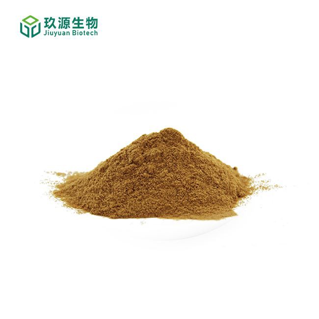 organic reishi mushroom powder (2)