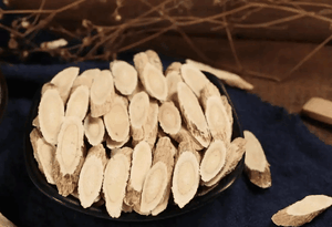 Astragalus Astragalus